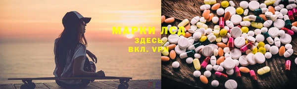 тгк Алзамай