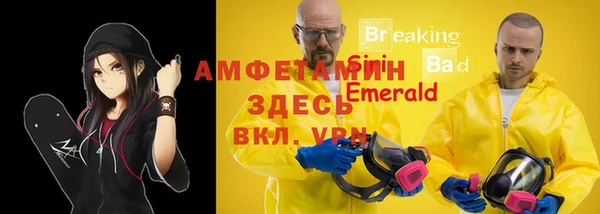 крисы Алексин