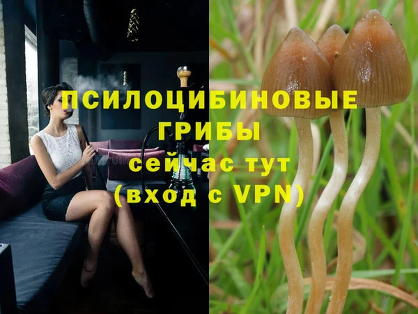 крисы Алексин