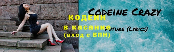 крисы Алексин