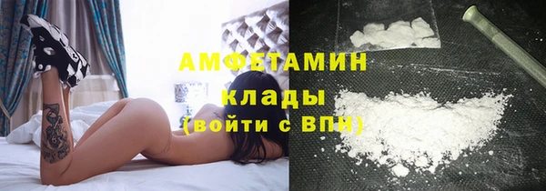 крисы Алексин