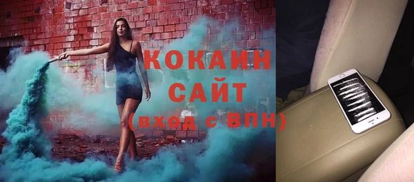 крисы Алексин