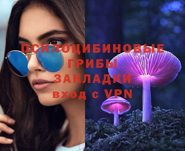 тгк Алзамай