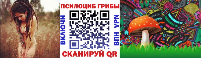 Галлюциногенные грибы Magic Shrooms  купить наркотик  OMG ONION  Заволжск 